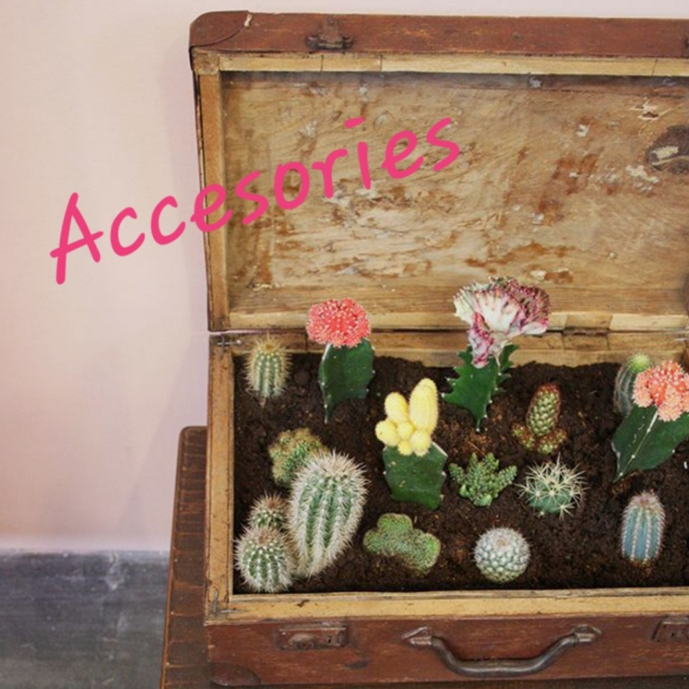 Accessories